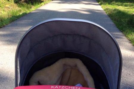 Dieses Foto vom Spaziergang teilte Daniela Katzenberger mit ihren Fans