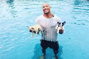 Dwayne "The Rock" Johnson mit seinen Familien-Neuzugängen: Brutus (l.) und Hobbs