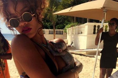 Dieses Foto von Rihanna kommt bei Fans nicht sehr gut an