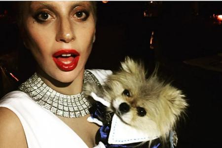 Lady Gaga mit dem 