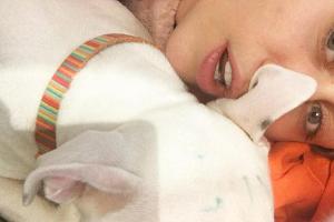 Miley Cyrus hat ihren Hund mit einem Textmarker angemalt und wird dafür von ihren Fans kritisiert