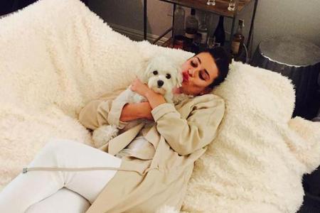 Sie würde diesen süßen Hund gerne behalten: 