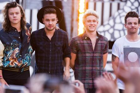 Die Jungs von One Direction sind erst Anfang 20 und können sich bereits stolz als reichste britisch-irische Popband bezeichn...