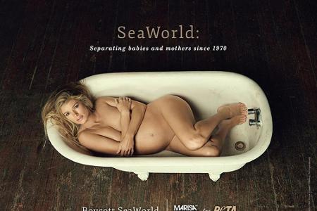 Marisa Miller macht auf das Schicksal gefangener Orcas aufmerksam