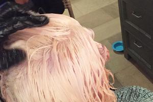 Autsch: Lady Gagas Kopfhaut wird in Mitleidenschaft gezogen