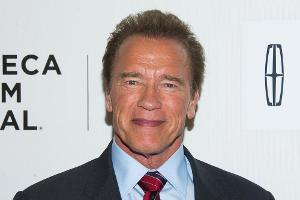 Arnie hat in gut zehn Jahren Pause einiges verlernt