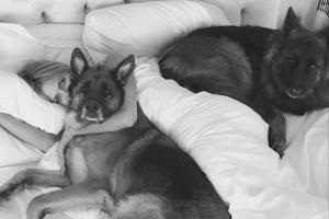 So kuschelt Heidi Klum morgens mit ihren beiden Schäferhunden