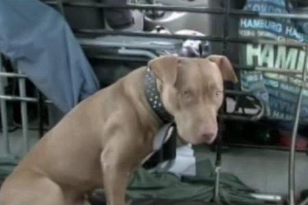 Die Berliner Kriminalhauptkommissare Nina Rubin und Robert Karow lösen ihren ersten Fall - 