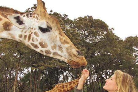 Gisele Bündchen füttert auf ihrem Instagram-Schnappschuss eine Giraffe