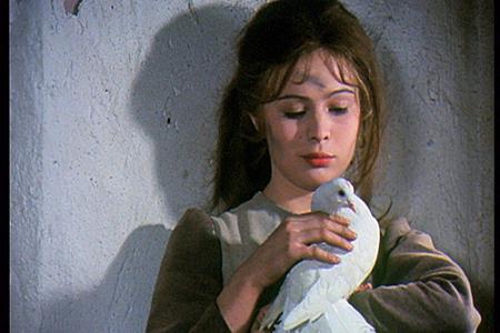 Von ihren tierischen Freunden bekommt Aschenbrödel Hilfe bei der Hausarbeit