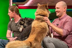 Oliver Petszokat bei der Rankingshow "Die tierischen 10". Der Ex-Teenie-Schwarm ist ein echter Hunde-Fan.