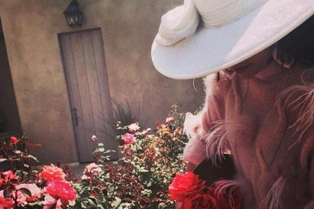 Lady Gaga und ihre geliebten Röschen