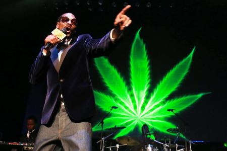 Offenbar ein wahrer Kraut-Fan: Snoop Dogg