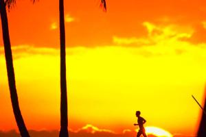 Romantisch? Sat.1 könnte Kandidaten auf eine einsame Insel schicken