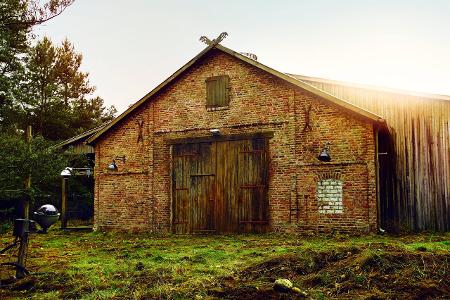 0004 Newtopia_AK1_5406_be.JPG