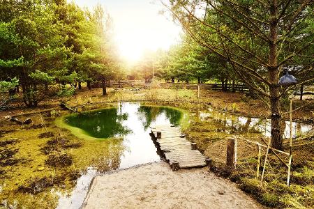 0005 Newtopia_AK1_5493_be.JPG