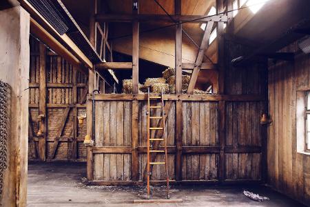 0006 Newtopia_AK1_8002_be.JPG