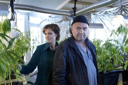 Die Ermittler Verena und Otto begutachten die Cannabis-Plantage