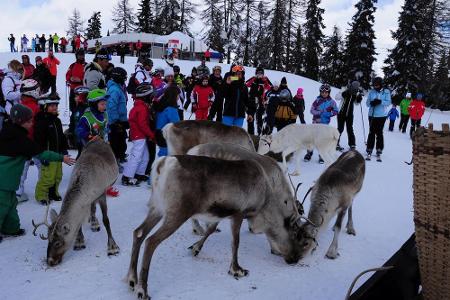 Attraktion für Kinder im Rotwand-Gebiet: die Rentierfütterung