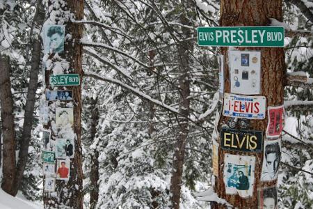 Von Fans mitten im Wald errichtet: Schreine für die Stars