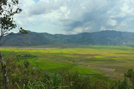 Nur auf Flores gibt es neun Reisfelder, die in ihrer Form an Spinnennetze erinnern
