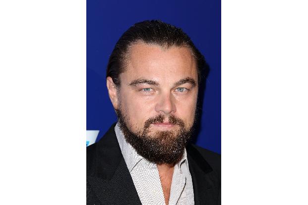 06 Leonardo DiCaprio FayesVision WENN wenn21622830.jpg