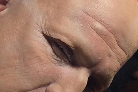 02 Vito Schnabel 10727654_537819366351833_720074076_n.jpg