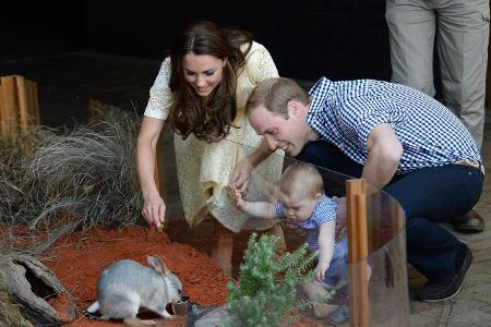 Prinz George, Kate, William