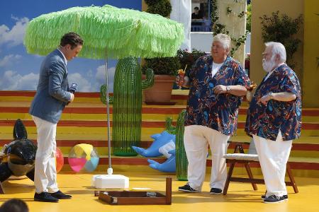 Stefan Mross, ARD, Wildecker Herzbuben