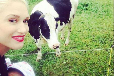 Gwen Stefani zeigt ihrem jüngsten Sohn die Schweizer Kühe