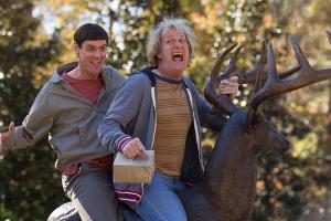 Lloyd und Harry treiben ab Januar 2015 wieder ihr Unwesen