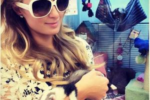 Paris Hilton hält ihr neues Frettchen auf dem Arm