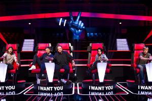 Wie gut haben sich die Coaches bis jetzt geschlagen?