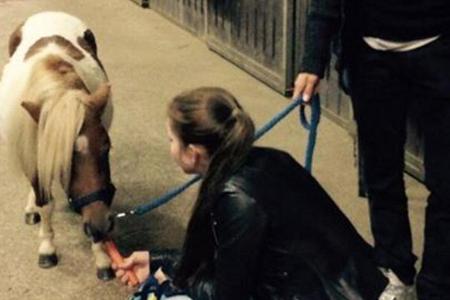 Der kleine Familienzuwachs der Müllers