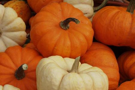 Kürbisse eignen sich nicht nur als Halloween-Deko, sie sind auch echte Beauty-Helfer