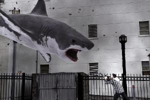 Ein Tornado saugt Haie aus dem Meer und rast damit auf L.A. zu. Mit einer Kettensäge bewaffnet, will Surfer Fin (Ian Ziering...