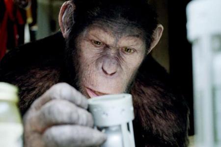 Planet der Affen: Schnell stellt sich heraus, dass Caesars Intelligenz der seiner Artgenossen weit überlegen ist