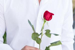Wer wird der neue "Bachelor"?