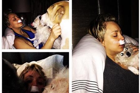 Liebevoll wird Kaley Cuoco von ihren Hunden umsorgt