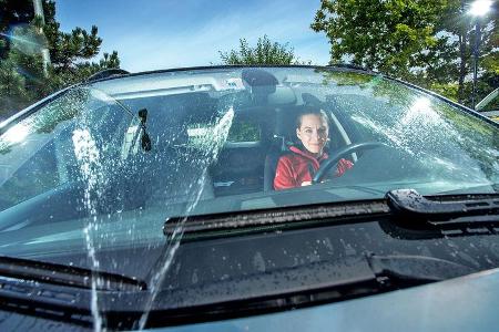 Sommer-Scheibenreiniger, Annette Napp