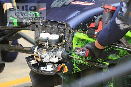 Red Bull - Technik - Nase - Formel 1 - 2017