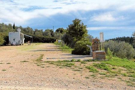 Stellplatz Scansano / Italien