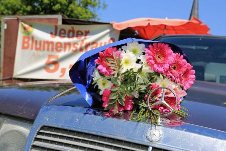 Mercedes 230 CE, Khlergrill, Blumer