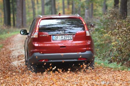 Honda CR-V 2.2 4WD Lifestyle, Heckansicht