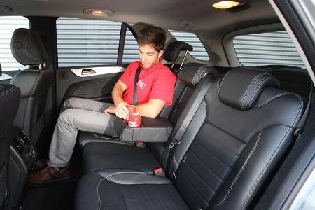 Mercedes ML 250 Bluetec 4-matic, Fond