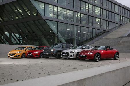 Fahrspaautos, Alle Fahrzeuge