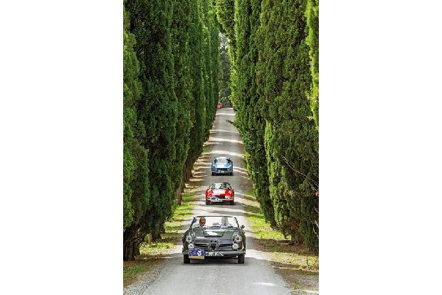 Gran Premio Nuvolari, Alfa Romeo, Fiat Dino und Ferrari