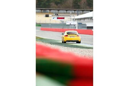 Audi TTS Coupé, Heckansicht