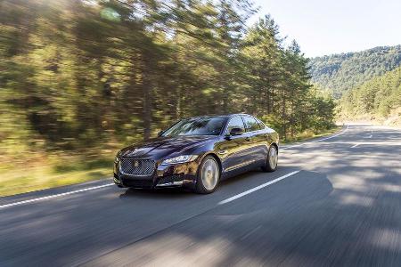 Jaguar XF, Fahrbericht, AMS 18/15