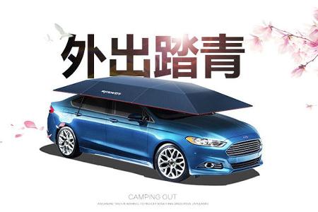 Mynew Car Umbrella